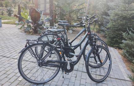 Apartament Nad Jeziorem Brenno - Foto 16