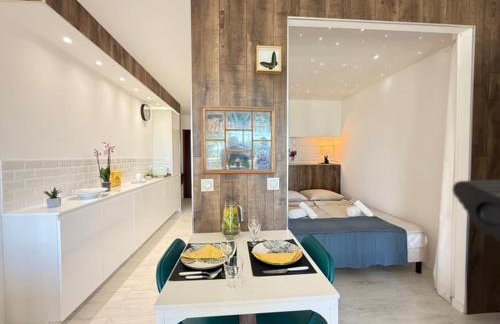 Beach Studio in Golfe-Juan near Cannes and Antibes - Foto 10