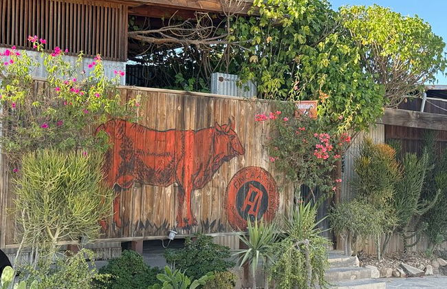 Private Deluxe Wine Tour to Valle de Guadalupe by Luxury Vehicle - Photo 33