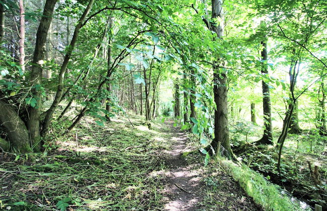 3 Bedroom 2 Bathroom Cottage Norham Berwick-upon-tweed -log Fire - Dog Friendly - Foto 16