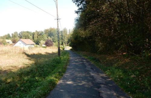 Chalet in Dabo near Castle Ruins - Photo 40