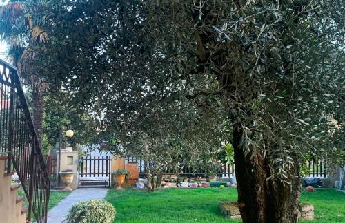 Villa Oasi - Appartamento Oderzo - Photo 20