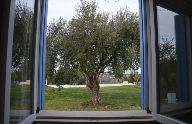 TerraMater - Foto 27