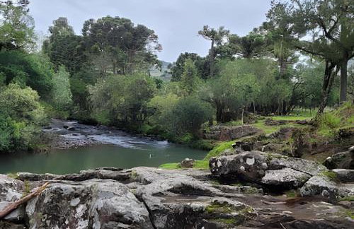 Cabana Pequeno Bosque som dás Águas - Foto 41