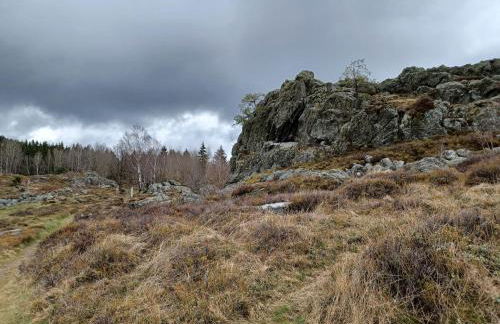 Ferienhaus in der Nähe der Skipiste - Foto 38