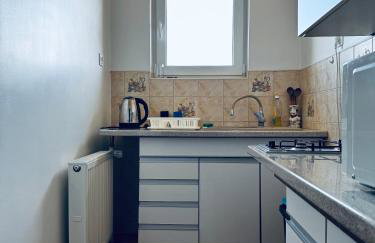 Bieszczadzki Zakątek 787-899-185 - Foto 55