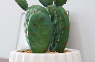 4 Minutes to UNC - 7 Minutes to Carrboro - En-Suite Bathrooms - Foto 21