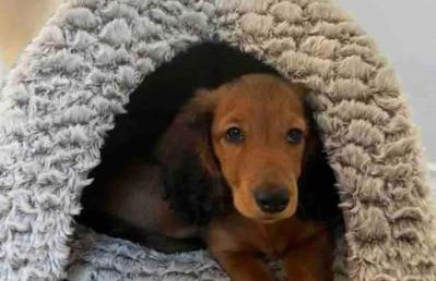 Corner House 2-Bed Townhouse Sleeps 3 - Photo 22