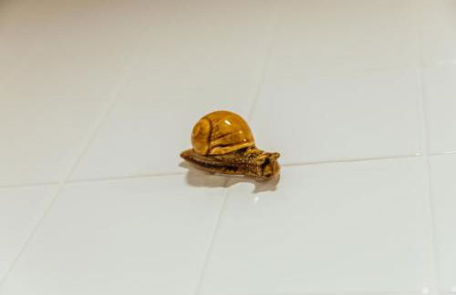 Bordallo's Prime Apartments - Foto 105