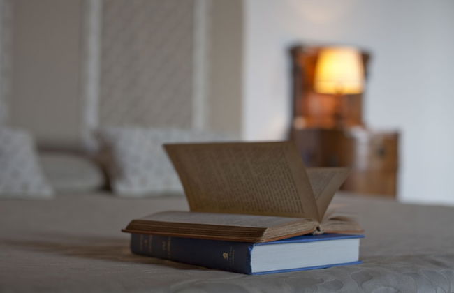 Castello Vicchiomaggio - Photo 18