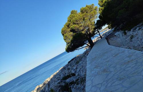 Apartments Galeb - Photo 55