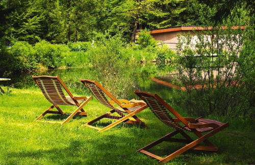 Apartment in Alsace With Private Terrace - Foto 40