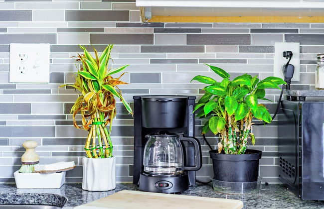 Jungle House Luxury Stays - Downtown Columbus & Short North - Foto 36