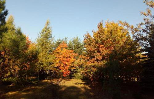NEU! Ferienwohnung Ahlbeck - Stettiner Haff - Foto 22