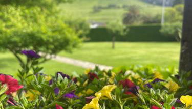 La Solana de Mogro - Foto 5