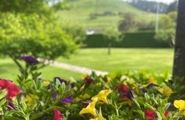 La Solana de Mogro - Foto 5