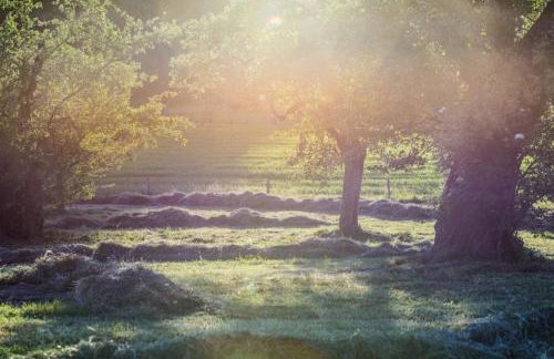 Ferienwohnung "Hinterland" - Foto 13