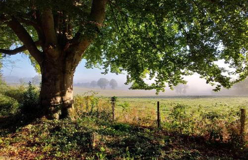 Gîte Traitsanes En Berry Centre Val de Loire - Foto 16
