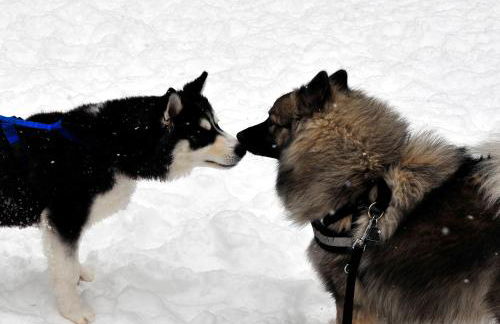Ferienwohnung Fichtelsonne - Foto 33