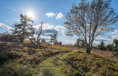 Ferienwohnungen Tannenhof - Foto 40