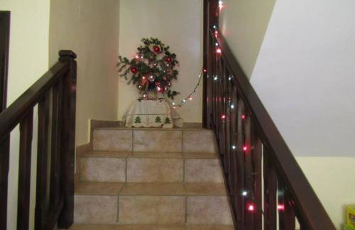 Ανάμεσα στα Έλατα - Foto 23