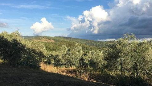 Sport Bikes and Nature - Foto 5