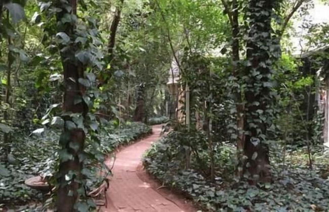 Ducks Country House - Foto 57