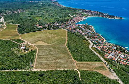 Apartment Bojana - Foto 33