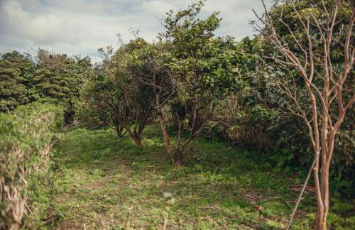 SHR House - Photo 13