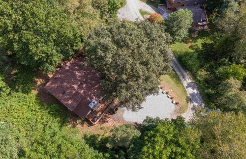 Moose Preserve - Foto 35