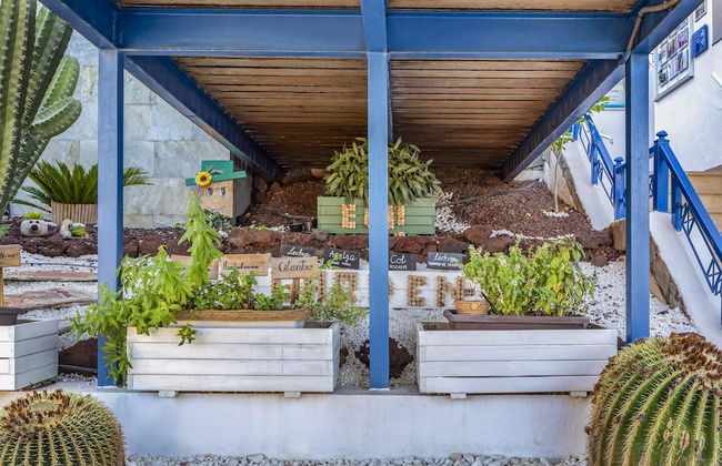 Club Cala Blanca - Foto 36