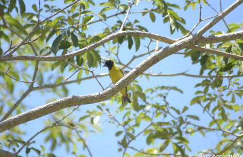 A Casinha Lumiar - Foto 40