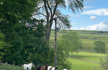 The Green Hayloft, Lakes & Dales - Photo 31