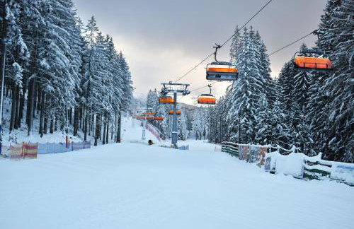 Domki Platan w Karkonoszach - Foto 37