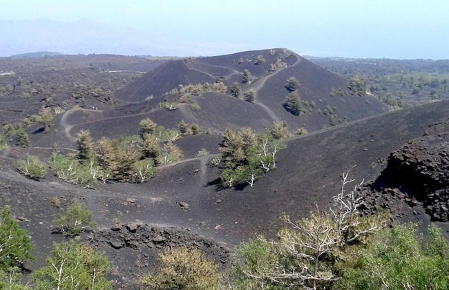 Etna Quota Mille Boutique Hotel, Typical Sicilian Food & Wine - Foto 57