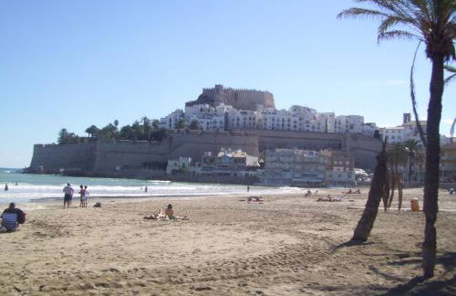 Finca Gamundi - Foto 19