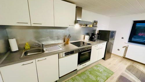Ferienwohnung Karl im schönen Pfälzer Wald - Foto 4, stove, dishwasher