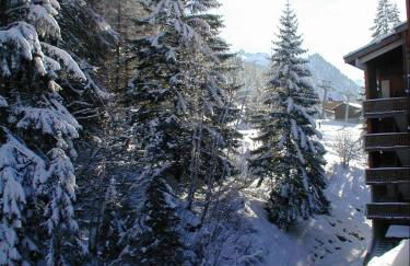 Appartement au pied des pistes - Foto 4