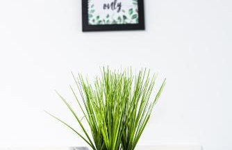 Redland Green Apartments by MyCityHaven - Foto 56