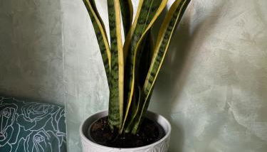 Casa Luciano - Foto 3