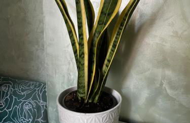 Casa Luciano - Foto 3