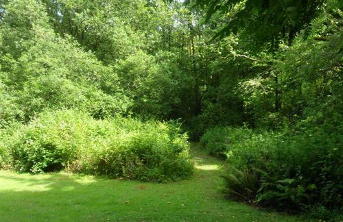 The Annexe Llandysul - Foto 18