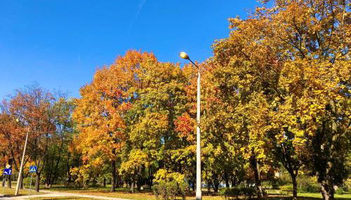 Apartments 4 You Hlonda - Foto 5