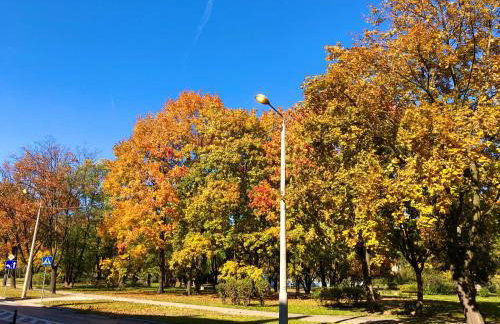 Apartments 4 You Hlonda - Foto 5