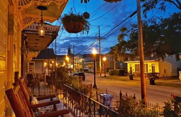 Luxury Historic Shotgun Home in Lower Garden District - Foto 10