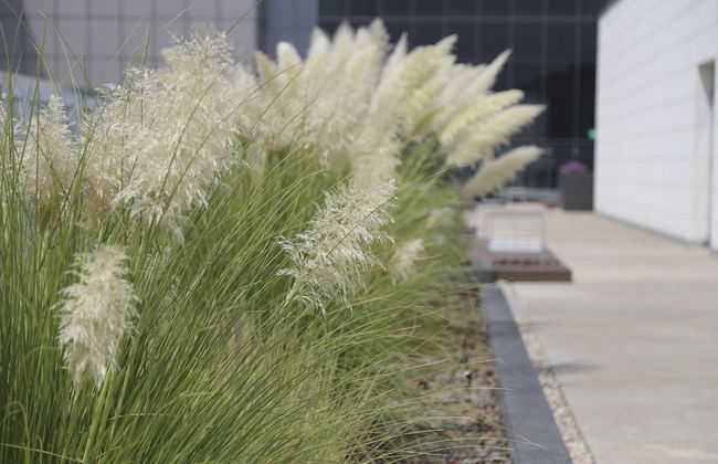 City Vistas Apartment by Mr.W - Foto 8