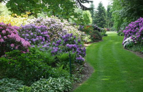 Ferienhof Werner - Foto 24