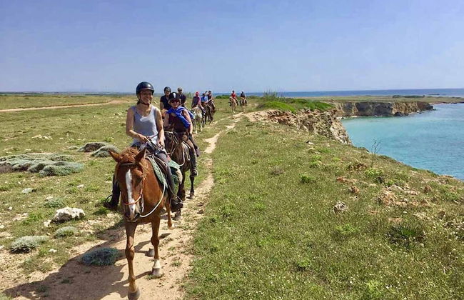 Holiday Home in Arborea With Pools & Spa - Foto 29