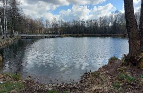 Holiday apartment in Langelsheim with Wi-Fi - Foto 12