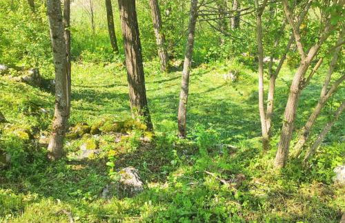 Kuca za odmor Lipa - Foto 16